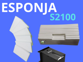 ESPONJA S2100  T2100 T5181