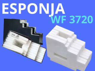 ESPONJA WF 3720